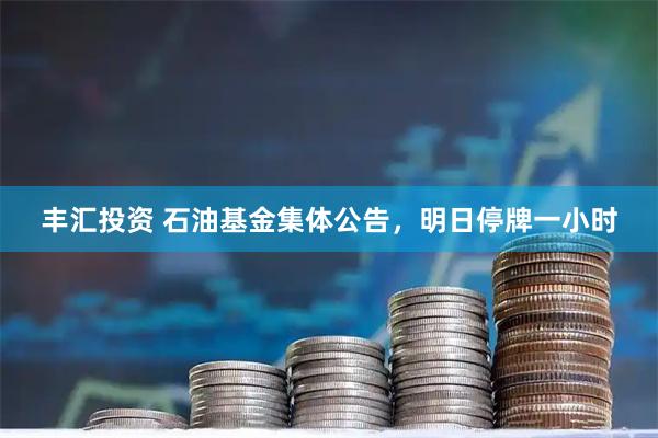 丰汇投资 石油基金集体公告，明日停牌一小时
